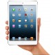 Apple iPad mini 16Gb Wi-Fi + Cellular (белый) 